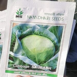 Cabbage (पत्ता गोभी) Archives - All Type Of Palak Beej 