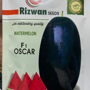 Best Quality Badshah (बादशाह) Watermelon Seeds Online Available
