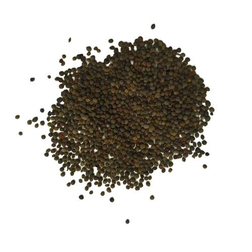 California_Poppy_Mix_Color_Flower_Seeds-removebg-preview_500x